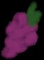 grape drawing